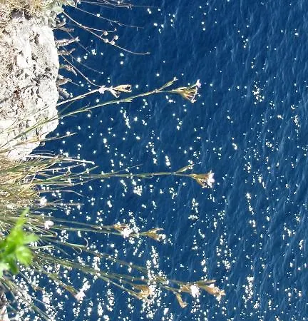 Apartments Zara Appartement Zadar