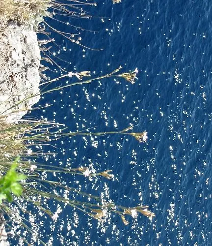 Apartments Zara Apartament Zadar